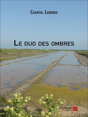 cover image of Le duo des ombres